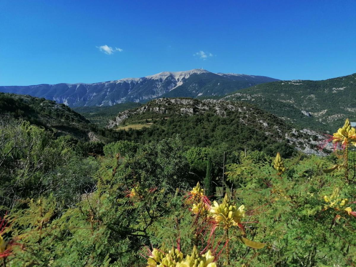 Les Villas Dorees - Villa Soleil Face Au Mont Ventoux Plaisians Exterior foto